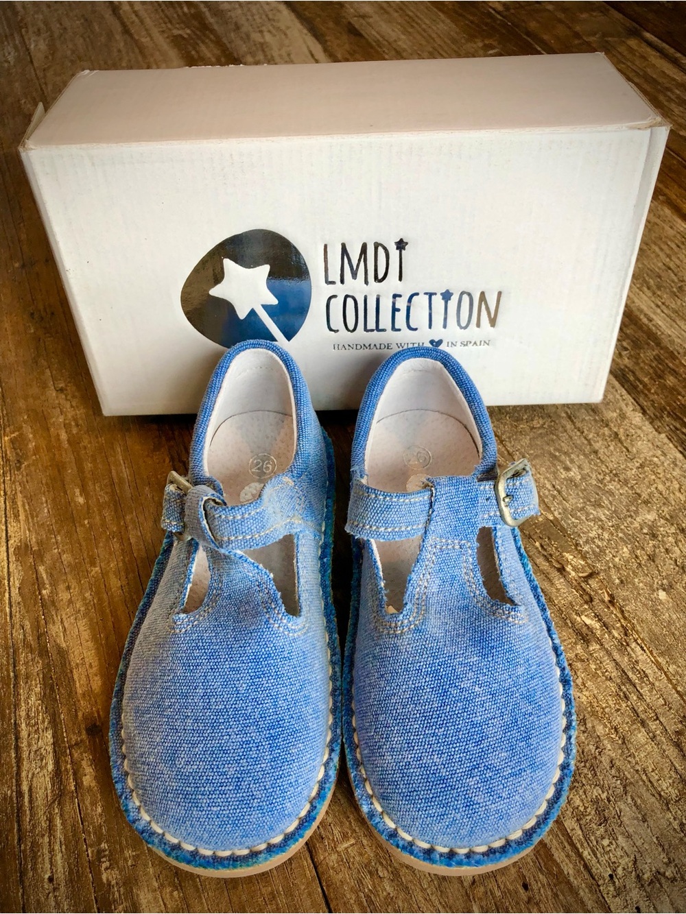 LDMI Kids Blue T-Strap Shoes 9.5